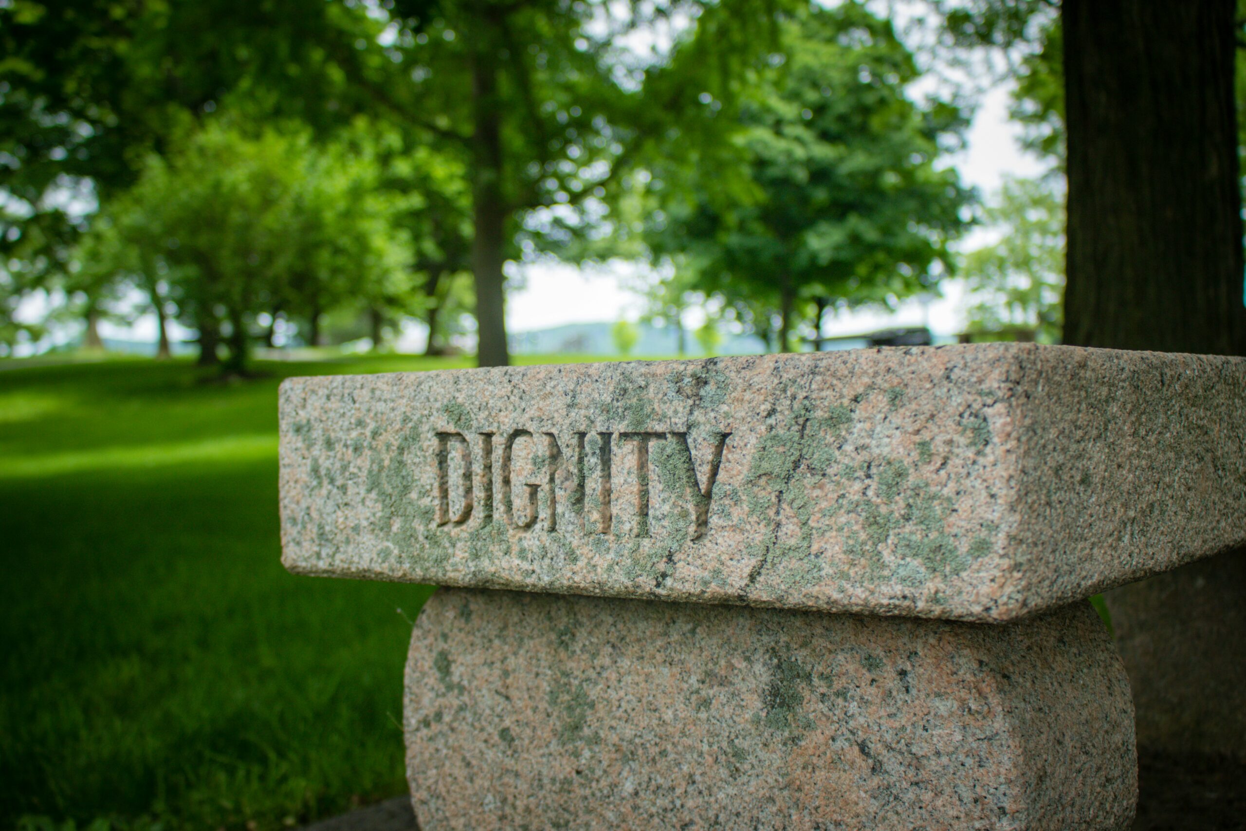 dave lowe nJTcfvqcJKc unsplash